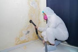 Best Asbestos and Lead Testing During Mold Inspection  in Ashland City, TN